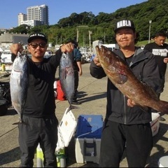 磯釣り仲間募集 チームロックショア