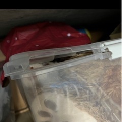 クリアケース　訳あり　まとめての画像
