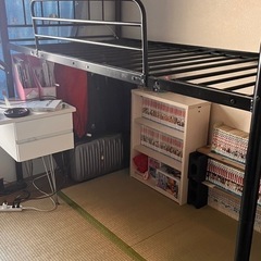 取引中　ロフトベット　　　ロータイプ
