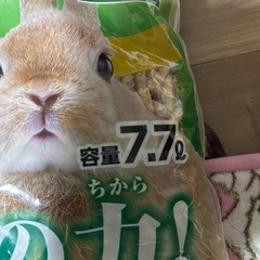 3種の針葉樹　トイレ砂
の画像