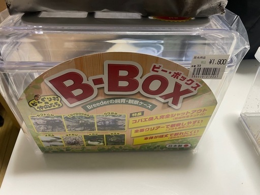 お取引中【新年お得セット】クワガタ、カブトムシ成虫セット