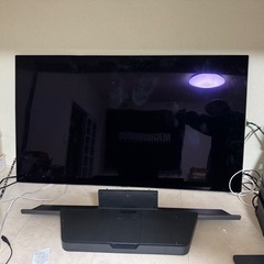 【ジャンク】LG OLEDカラーテレビ48V