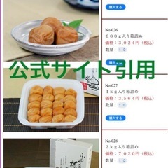 【引渡し済】紀州南高梅　中道農園　600g はちみつ梅の画像