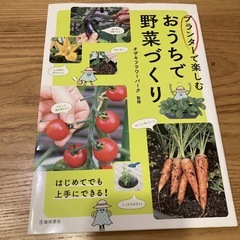 【取引完了】プランターで楽しむおうちで野菜づくり
