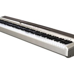 【お得】CASIO 電子ピアノ Privia PX-120DK ...