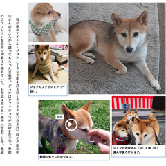断捨離の苦手なアナタにの画像