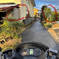スズキ　バーグマン 200cc