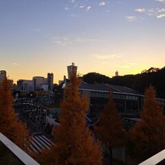平日休み カフェ お話