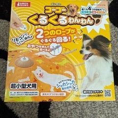 ゴーゴーくるくるわんわん