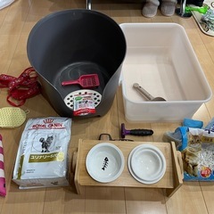 早い者勝ち！猫ちゃん用品まとめ売り