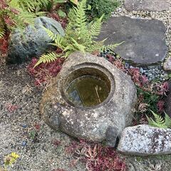 手水鉢・蹲・つくばいの画像