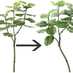 フェイクグリーン　観葉植物の画像