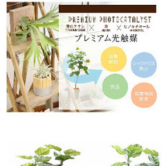 フェイクグリーン　観葉植物の画像