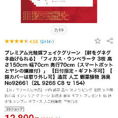 フェイクグリーン　観葉植物の画像