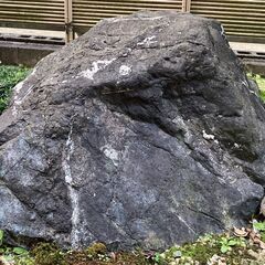 手水鉢・蹲・つくばいの画像