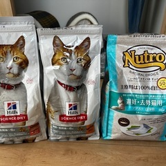 キャットフード