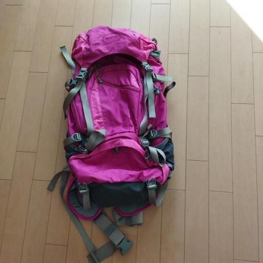 PAINEバックパック　32リットル