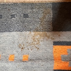 カーペットの画像