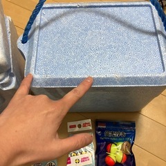 釣り　サビキ　海　川　ウキ　道具　セット　まとめて　おもちゃ　保冷の画像