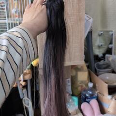 簡単ポニーティル、バレッタ式の画像