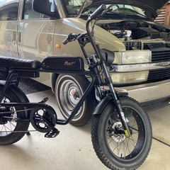 アシスト自転車⭐︎フロー★電動自転車　EZ  カスタムバイク