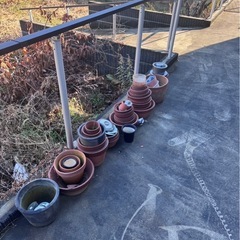 使用済　植木鉢🪴