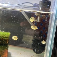 水槽
