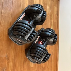 可変式ダンベル 24kg アジャスタブルダンベル 2個セット 可変式 ダンベル 鉄アレイ 筋トレ ダイヤル 重量調整 2.5kg 〜 24kg 15段階調節可能 可変式ダンベルの画像