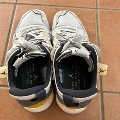 NIKE エアージョーダン　28.5cmの画像