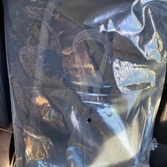 骨盤ベルトの画像