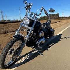ハーレーダビッドソン  2007年 FXSTC 