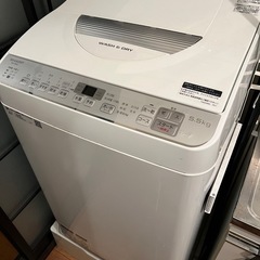 SHARP 洗濯乾燥機5.5キロの画像