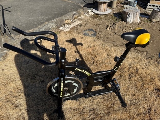 正月太りに　フィットネスバイク