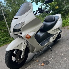 フォルツァmf06 安心のどノーマル　4月末までとさせていただきます。の画像