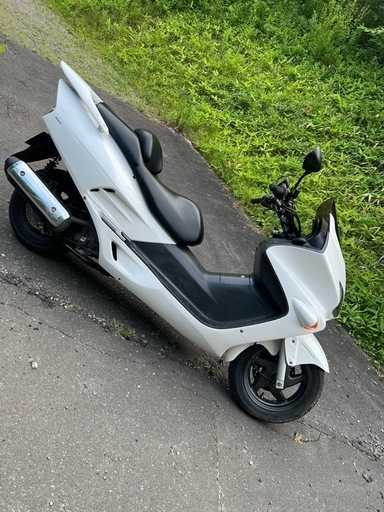 フォルツァmf06 安心のどノーマル　4月末までとさせていただきます。