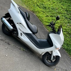 フォルツァmf06 安心のどノーマル　4月末までとさせていただきます。の画像