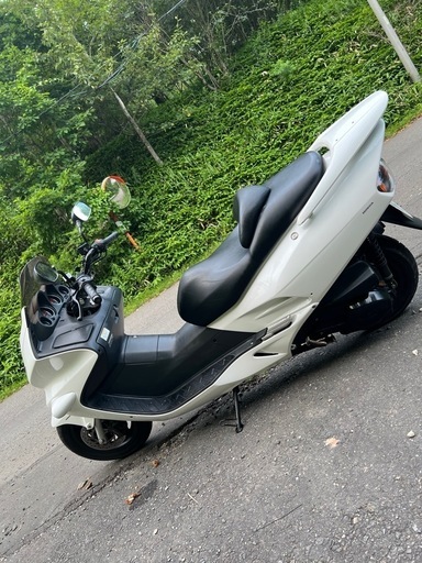 フォルツァmf06 安心のどノーマル　4月末までとさせていただきます。