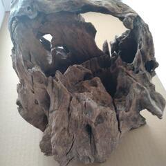 ガラス水槽(60×30×30)と砂利と流木と石の画像