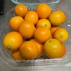 金柑200円／箱、安い、美味しい、VC豊富！