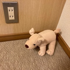 ぬいぐるみの画像