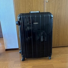 キャリーバック