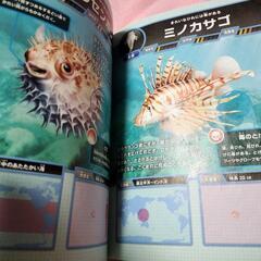 危険生物大百科の画像