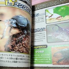 「戦うムシ大百科 ムシ最強王決定戦」の画像
