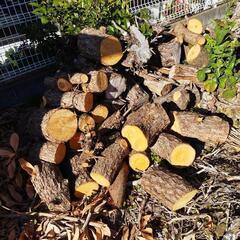 薪の画像