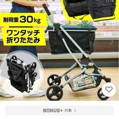 【受渡し決まりました】⭐️新品⭐️EcoCa  ショッピングカートの画像