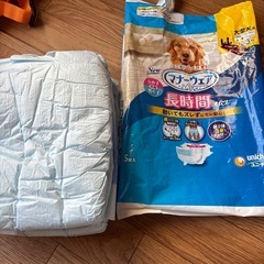 マナーウェア大型犬用