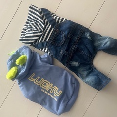 🌸２枚セット　 服🐶小型犬　