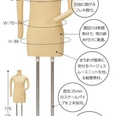 マネキン　着付け練習ボディの画像