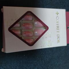 ネイルチップ（つけ爪）COFFRET  DOR