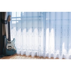 Fender American Professional Str...